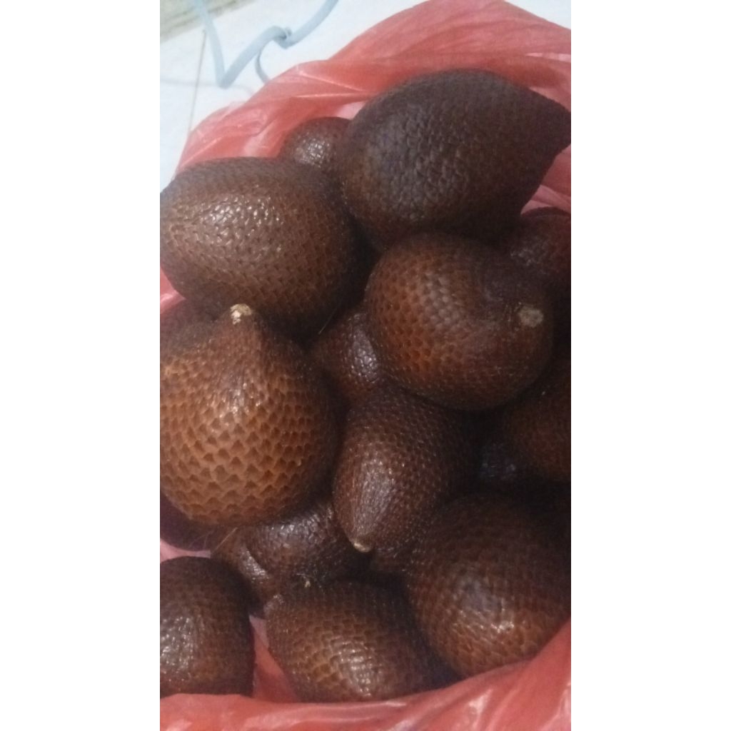 

salak.Sulawesi