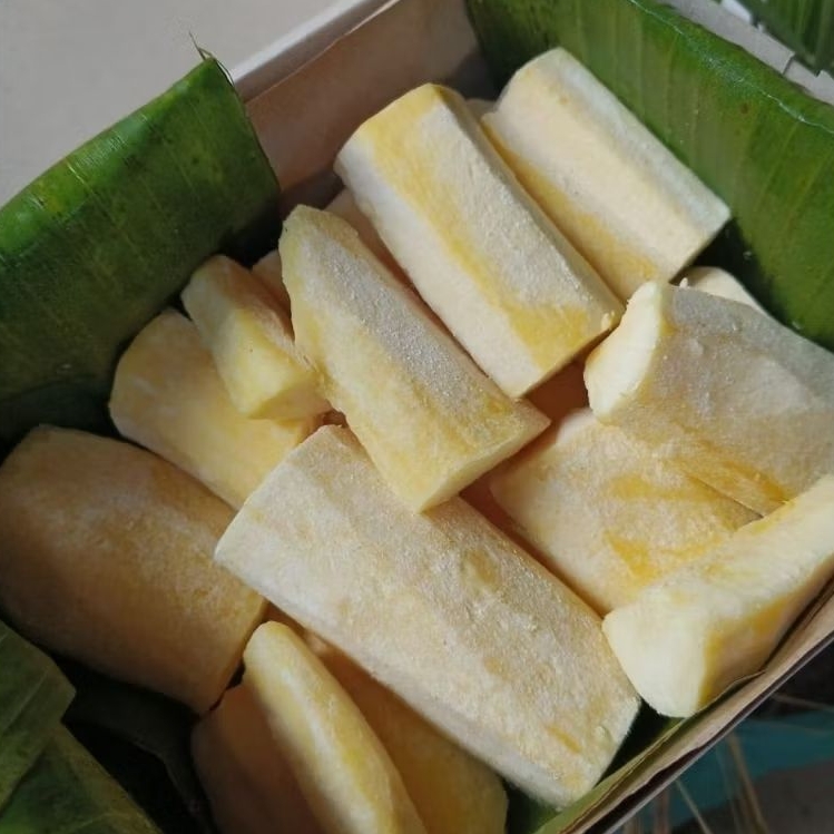 

TAPE MAYANGSARI ASLI JEMBER