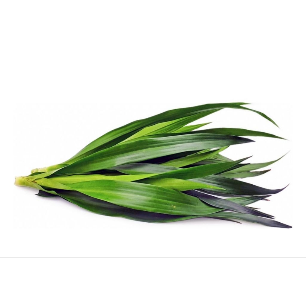 

Pandan Suji 1 kg Fresh Herb