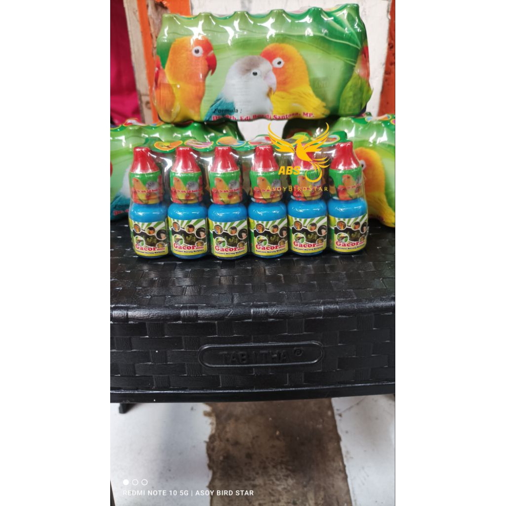 gacor mini dr edhi isi 12 pc burung