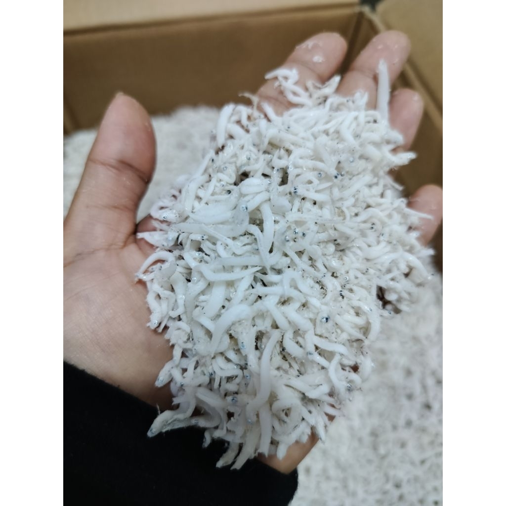 

TERI NASI MEDAN ♛ Teri Nasi kualitas premium