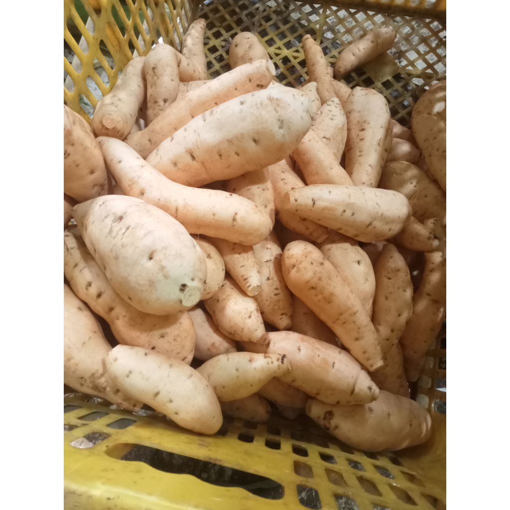 

ubi Cilembu super murah promo 1 kg