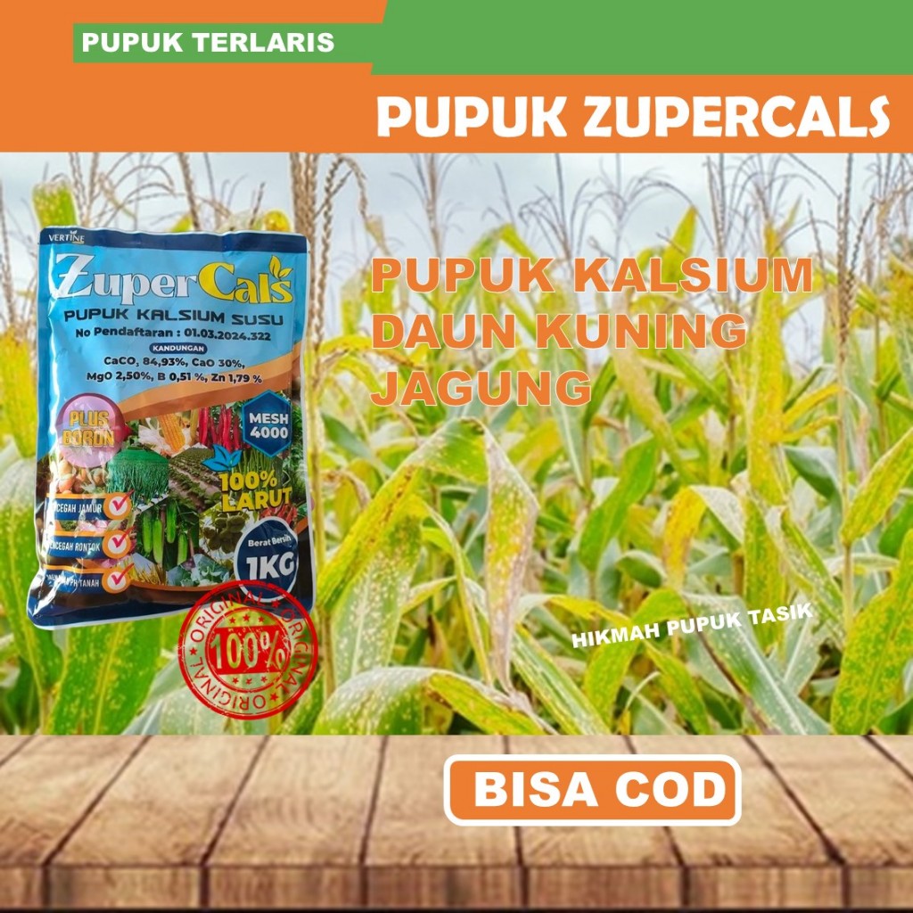 Pupuk Kalsium Zupercals untuk Jagung | Daun Kuning & Kering Teratasi | Bantu Pembentukan Tongkol Bes