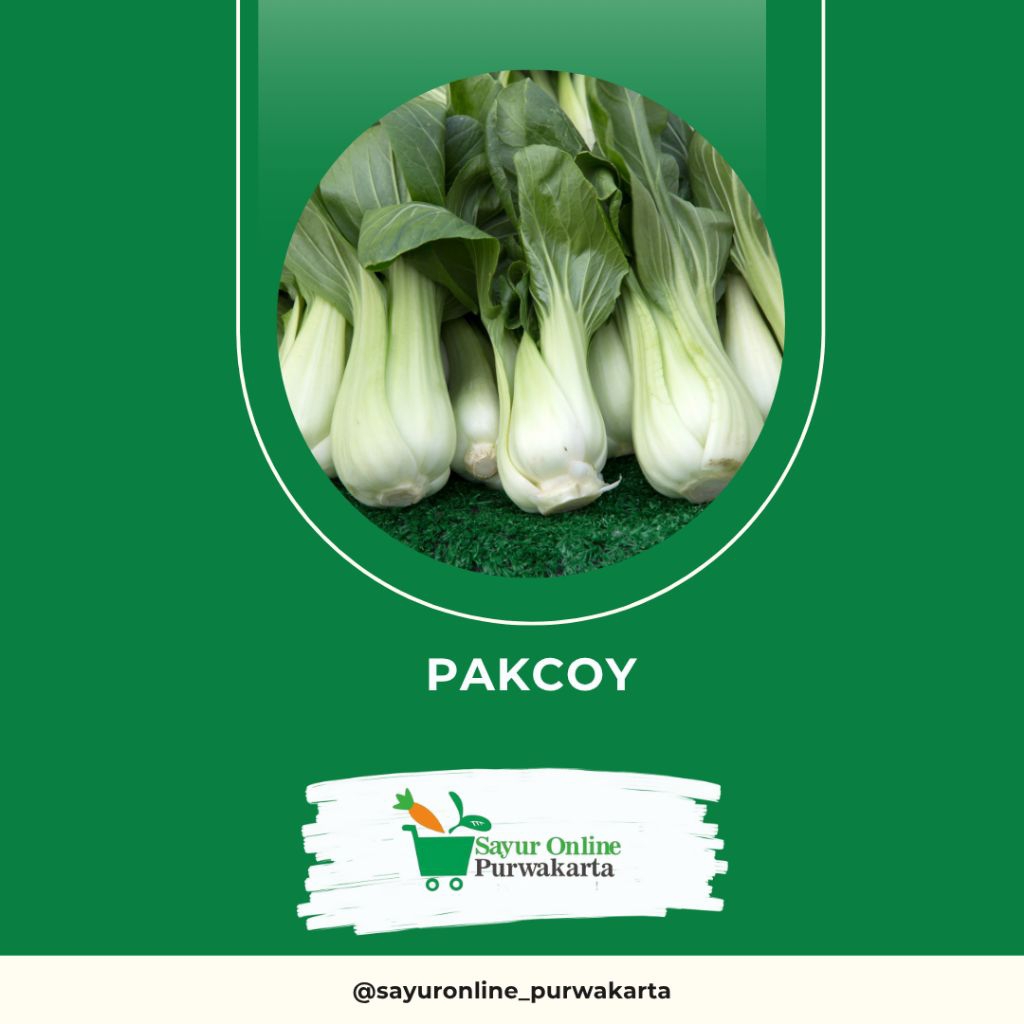 

Pakcoy - Sayur Online Purwakarta