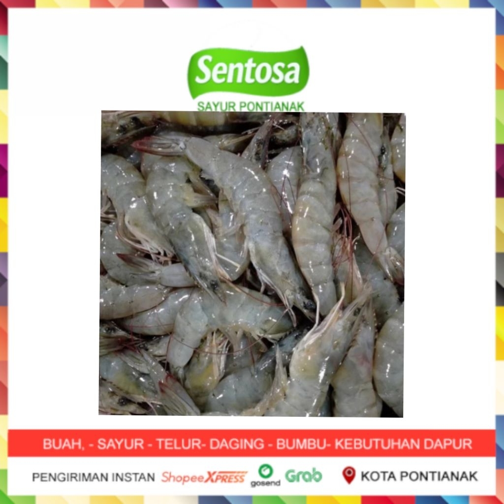 

Udang Vaname Segar Ukuran Sedang 100 gram Sentosa Sayur Pontianak
