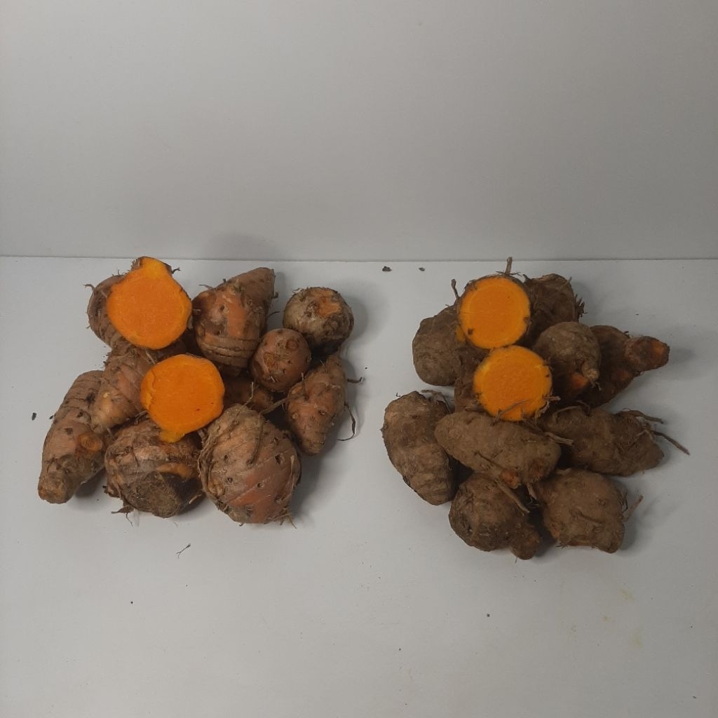 

1 Kg Biang Kunyit Segar