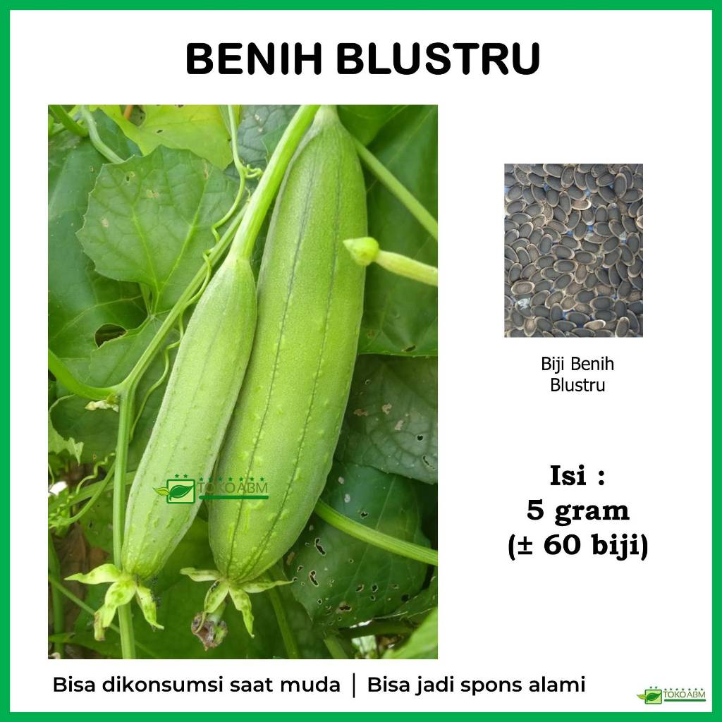 Benih Blustru Gambas Emes Loofah Luffa   -  Biji Bibit Benih Sayuran  Unik