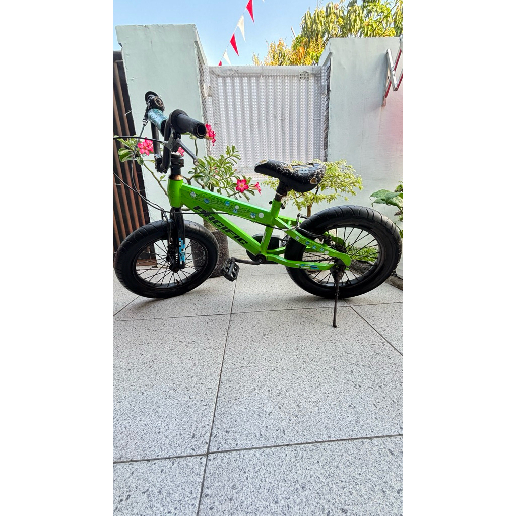 Sepeda Anak Pacific Preloved
