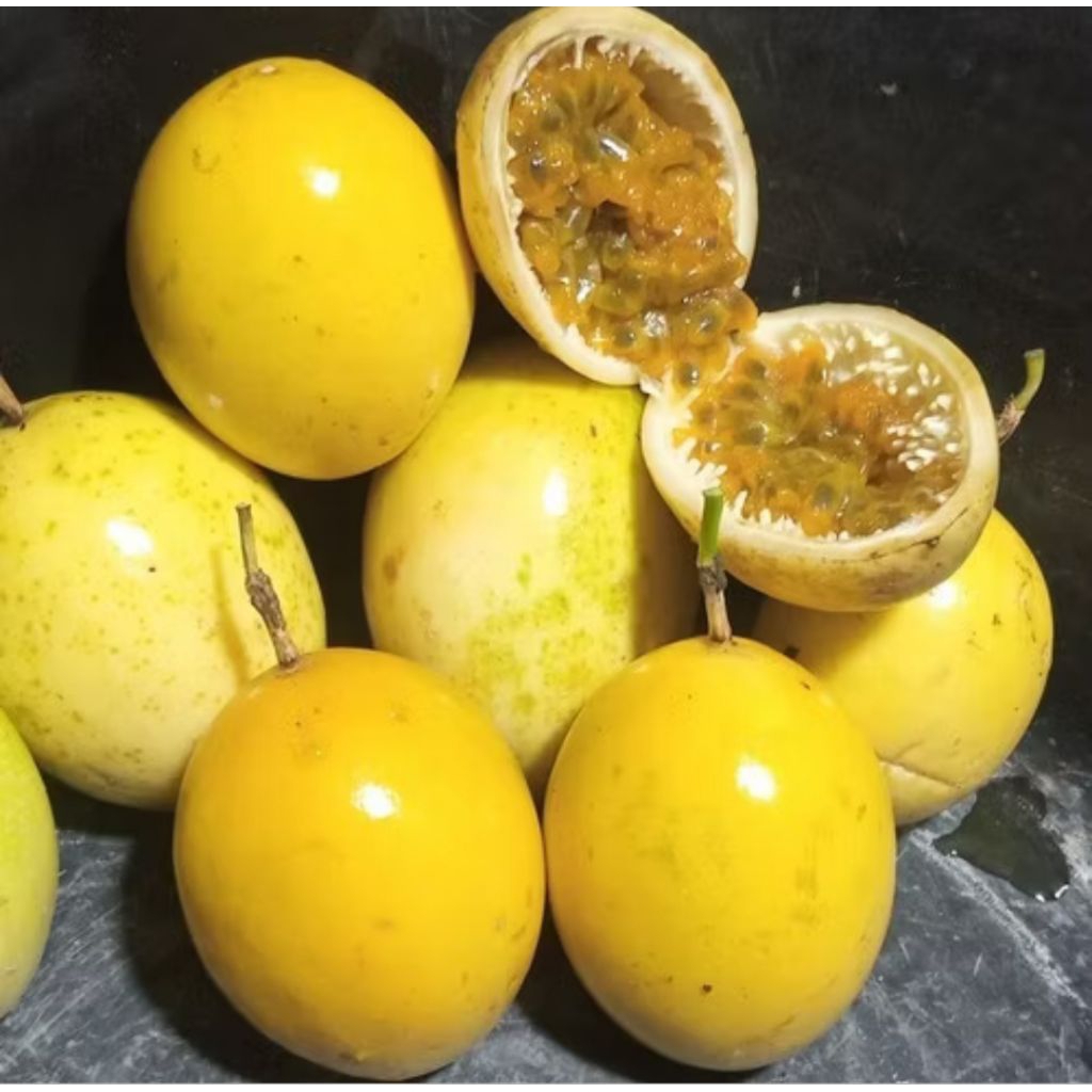 

markisa segar asam manis 500gr