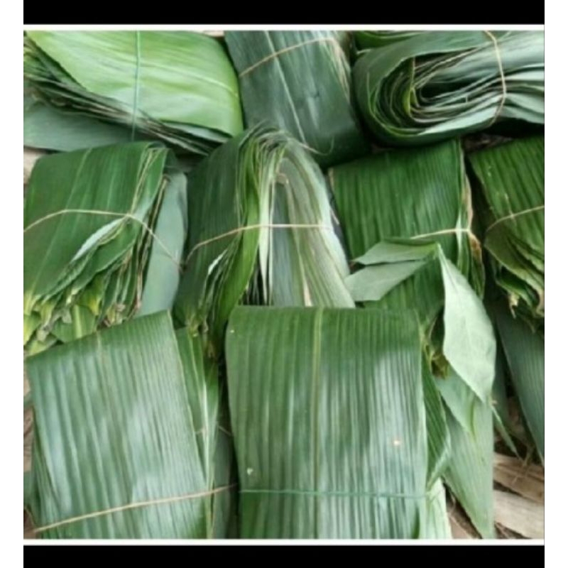 

DAUN BAMBU JUMBO husus untukbacang
