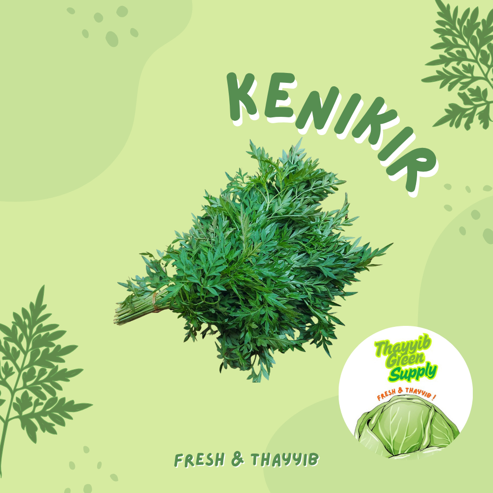 

KENIKIR SEGAR 1 IKAT - THAYYIB GREEN SUPPLY