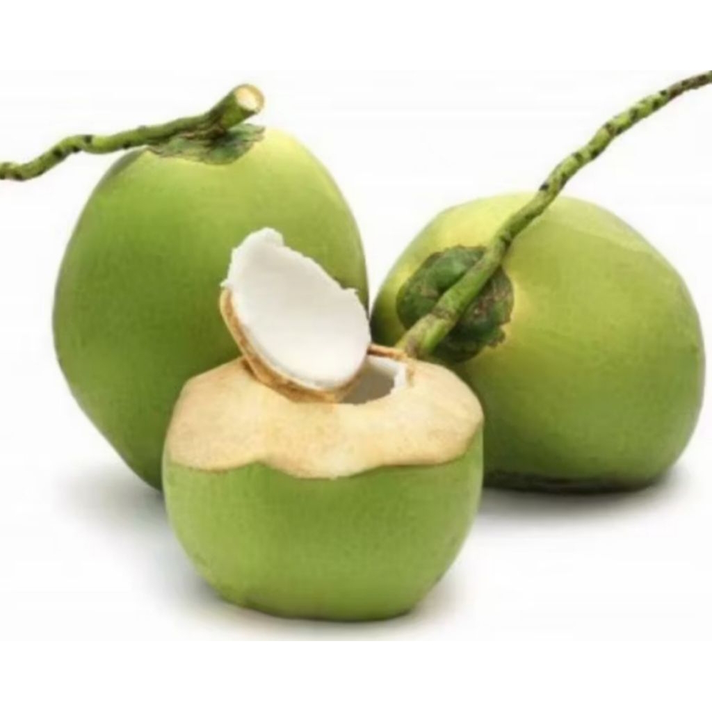 

BUAH KELAPA MUDA 1 PCS, BARU PETIK