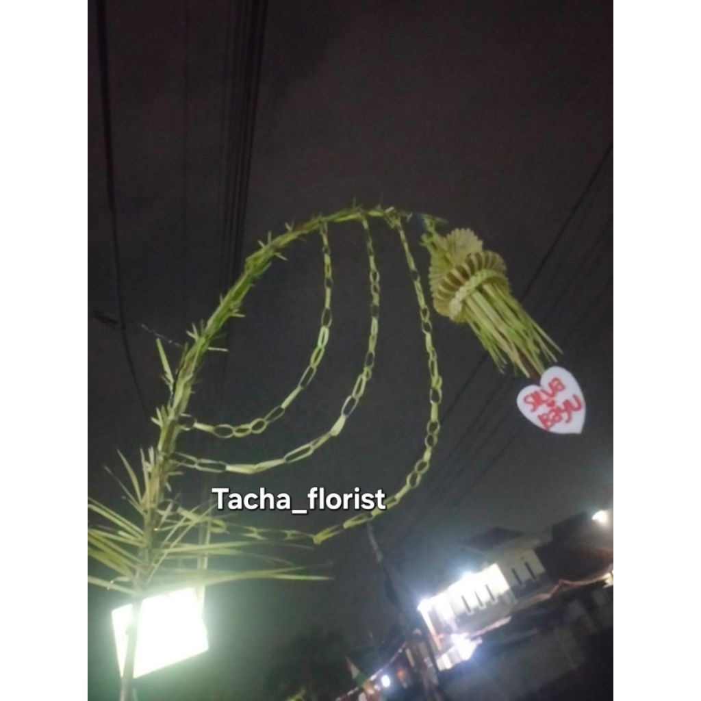 janur kuning untuk pernikahan dan khitanan