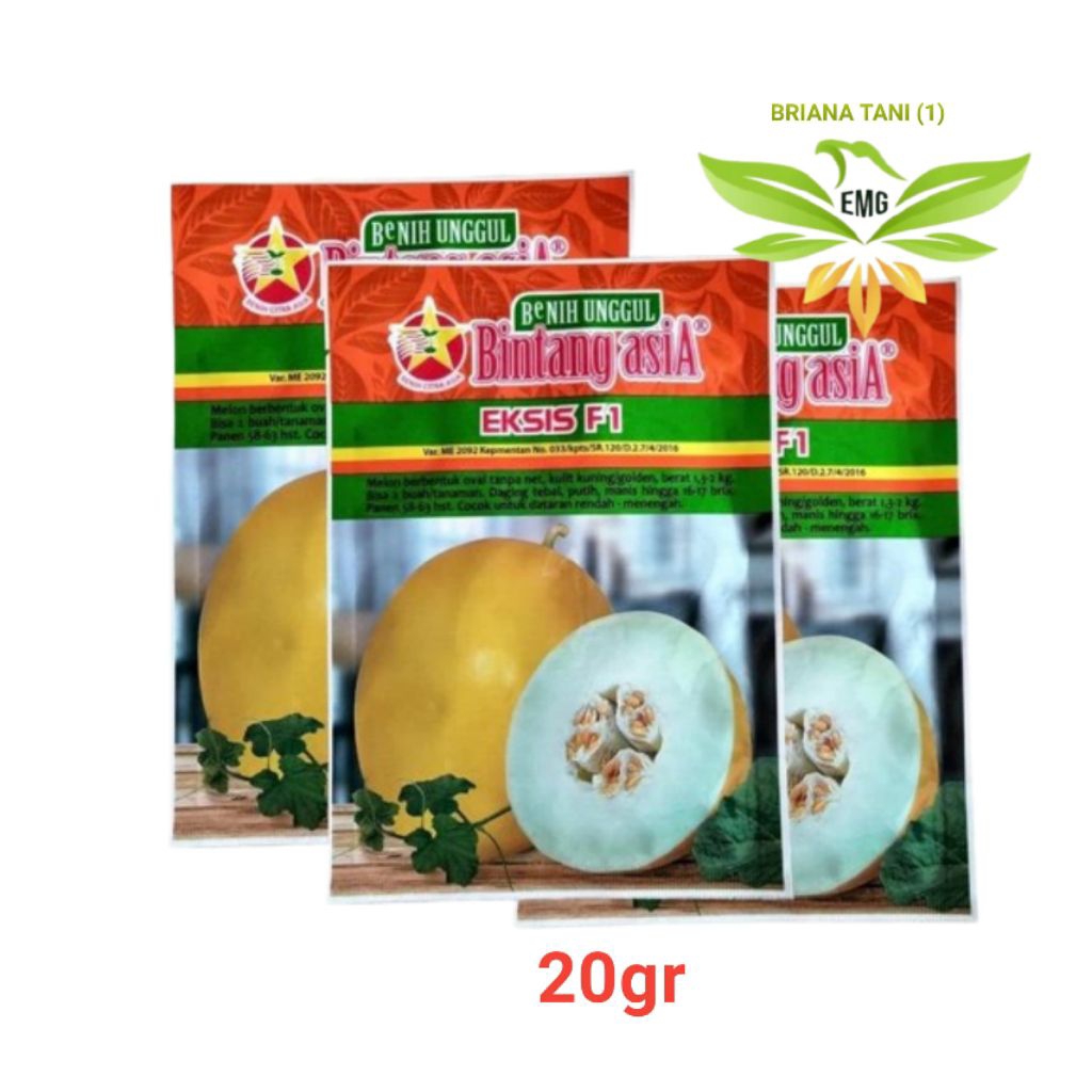 Eksis F1 20gr Melon Golden Hibrida Bintang Asia alisha F1
