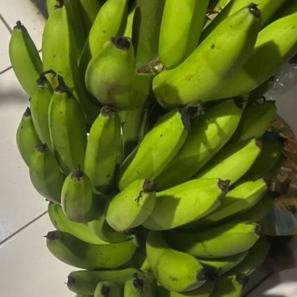 

Buah Pisang Mentah SP FV Pisang Bangkaulu