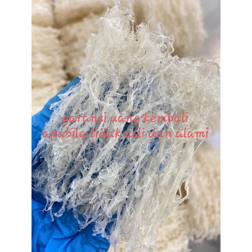 

Sarang Burung Walet Bersih Serat Cetak Natural 100 Gram