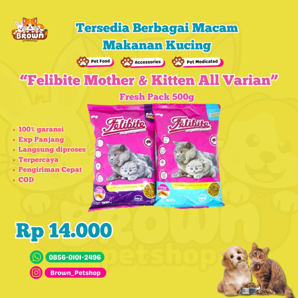 Felibite Mother & Kitten