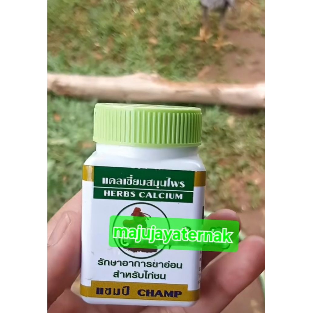 HERB CALSIUM kalsium herbal ayam jago aduan import vitamin menguatkan tulang