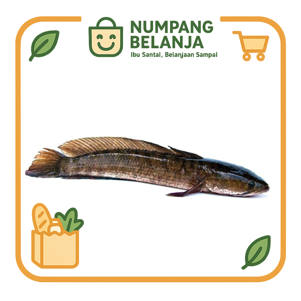 

ikan gabus fresh [500g]