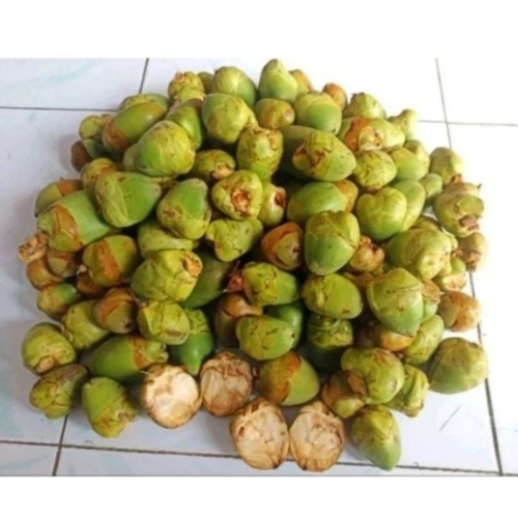 

Fress beluluk buah kelapa per 5 pcs
