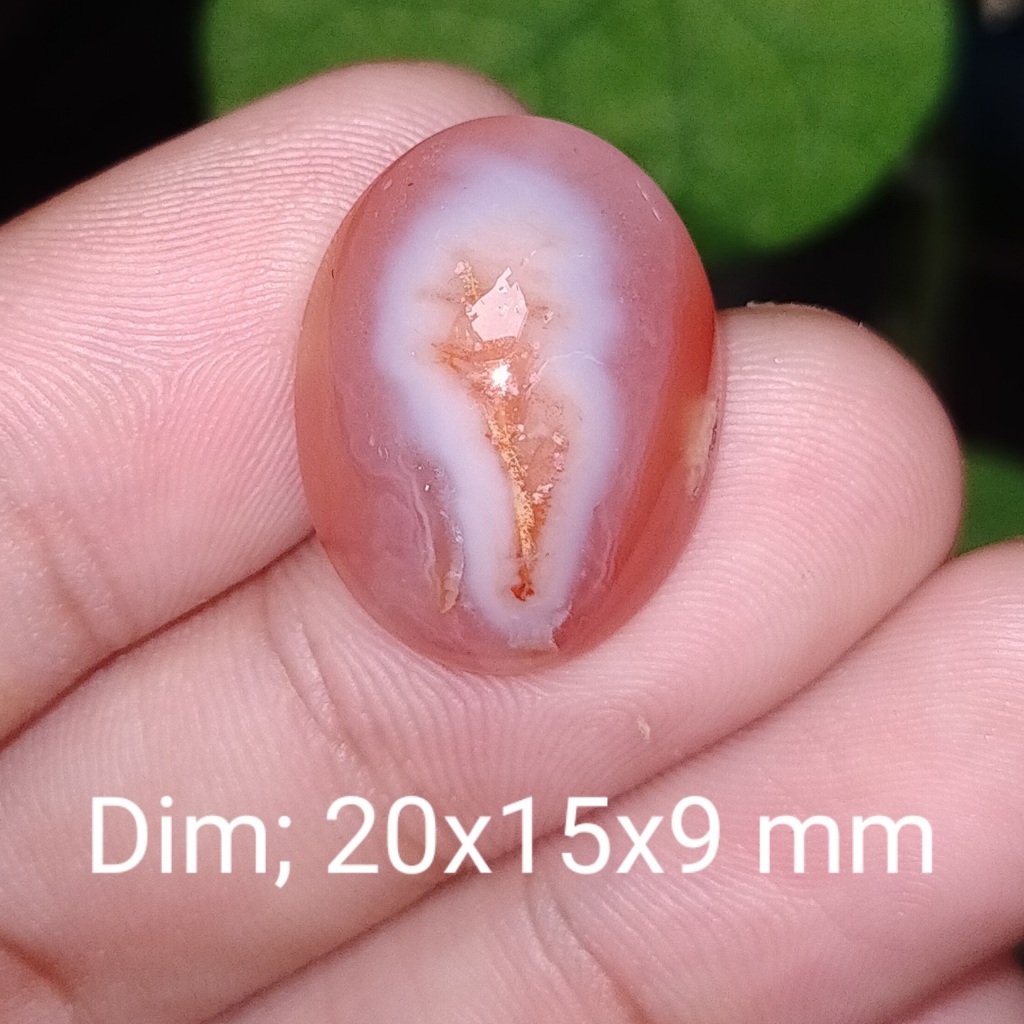 BATU AKIK MOTIF KUDA LAUT koleksi lainnya cincin kalimaya Wulung giok opal new akik bacan doko kinya