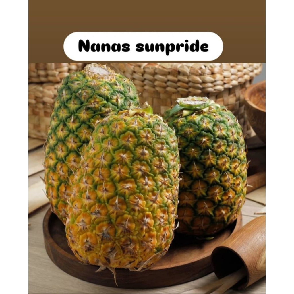 

nanas honi sunpride butiran