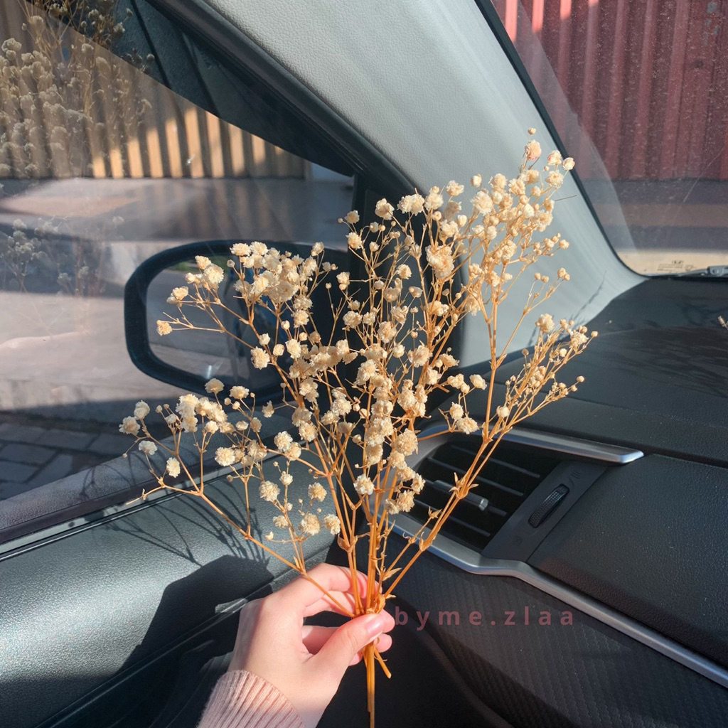 Preserved Baby Breath - Bunga Kering Baby Breath - Baby Breath Flower - Hiasan  Dekorasi Bunga