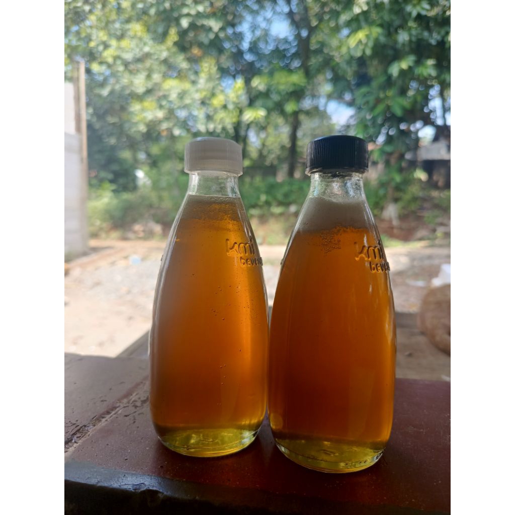 

madu lebah 100% asli