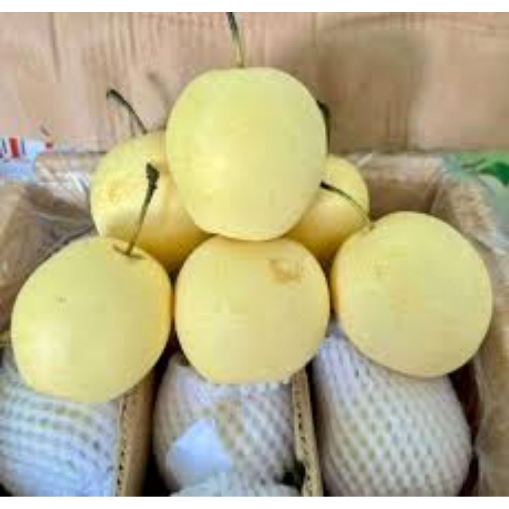 

buah pir segar dan higenis