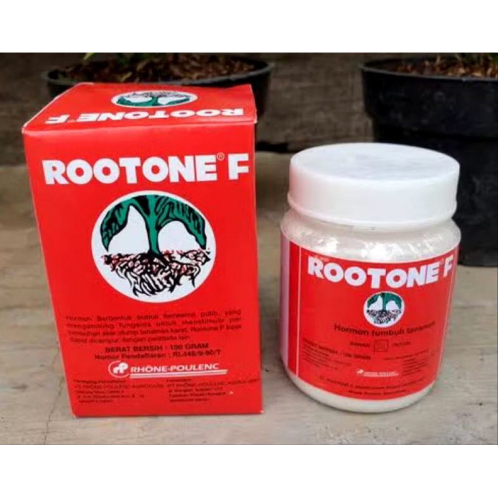 ROOTONE F 100GRAM HORMON TUMBUH PERTUMBUHAN AKAR STEK CANGKOK TANAMAN