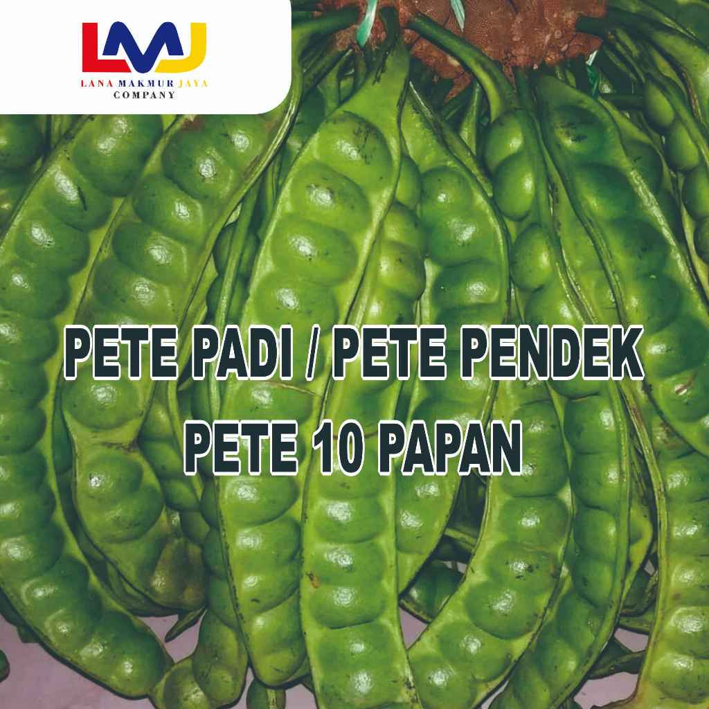 

PETE 10 PAPAN / PETE PADI / PETE PENDEK