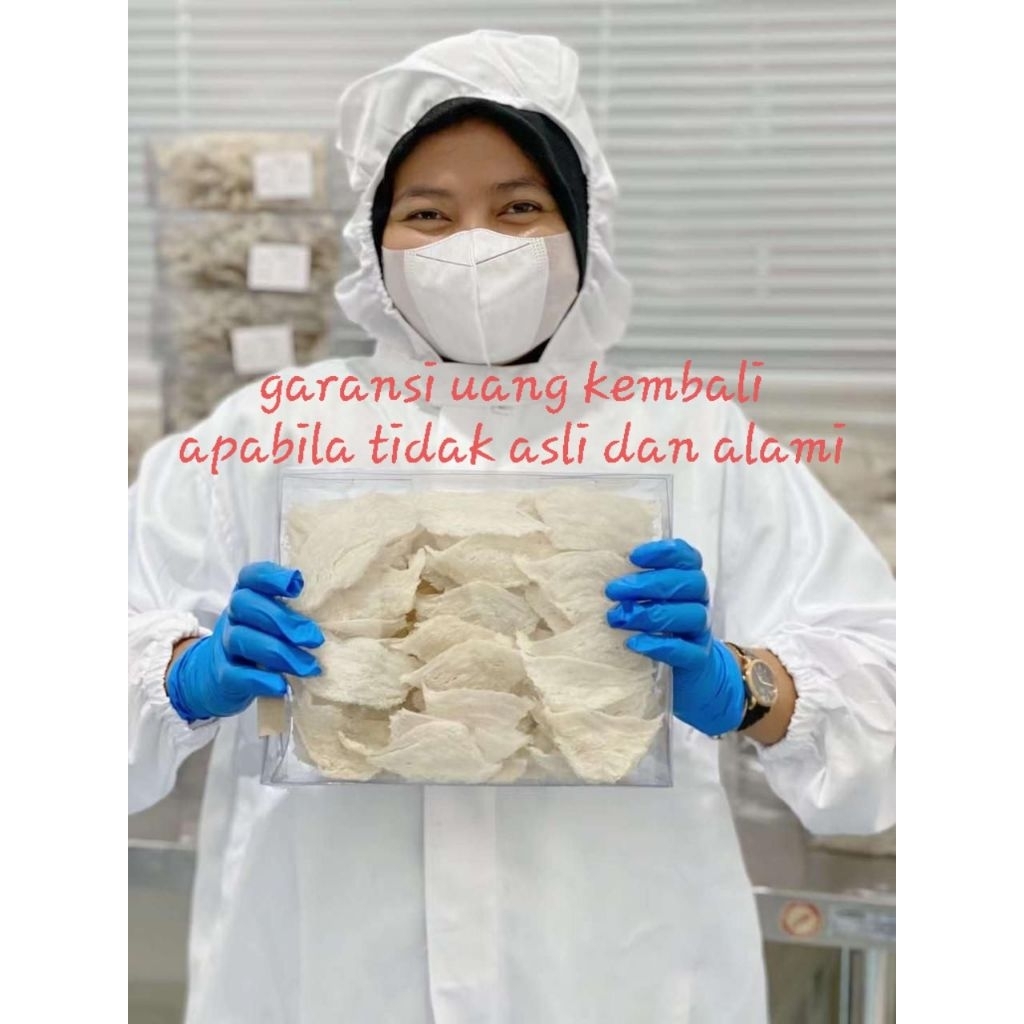 

Sarang Burung Walet Bersih Patahan Sedang Natural 100 Gram