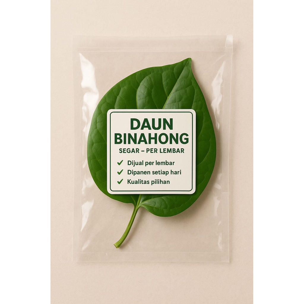 

Daun Binahong Segar Langsung petik - Per Lembar, Herbal Penyembuh Luka & Penambah Stamina