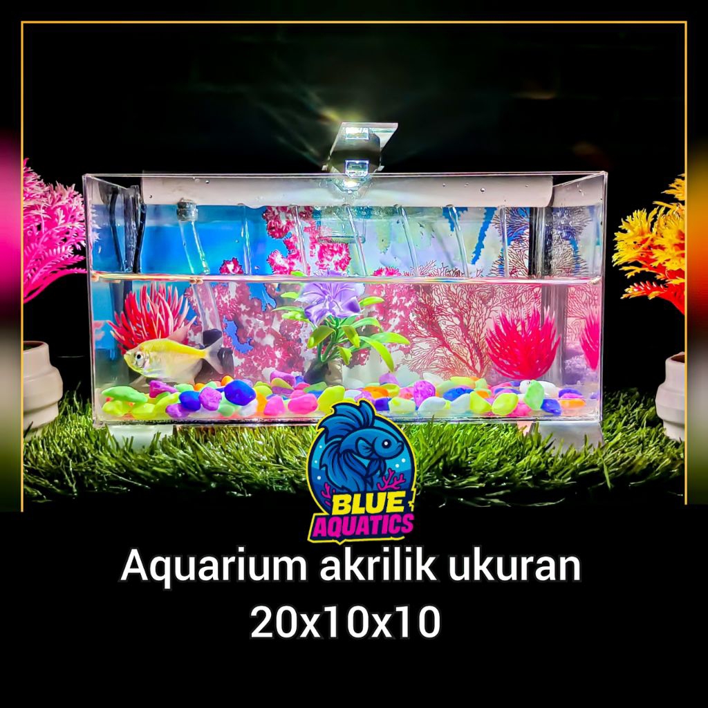 Aquarium Dinding Rumah Bahan Akrilik