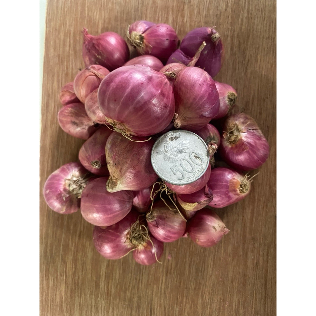 

Bawang merah 1 kg jumbo