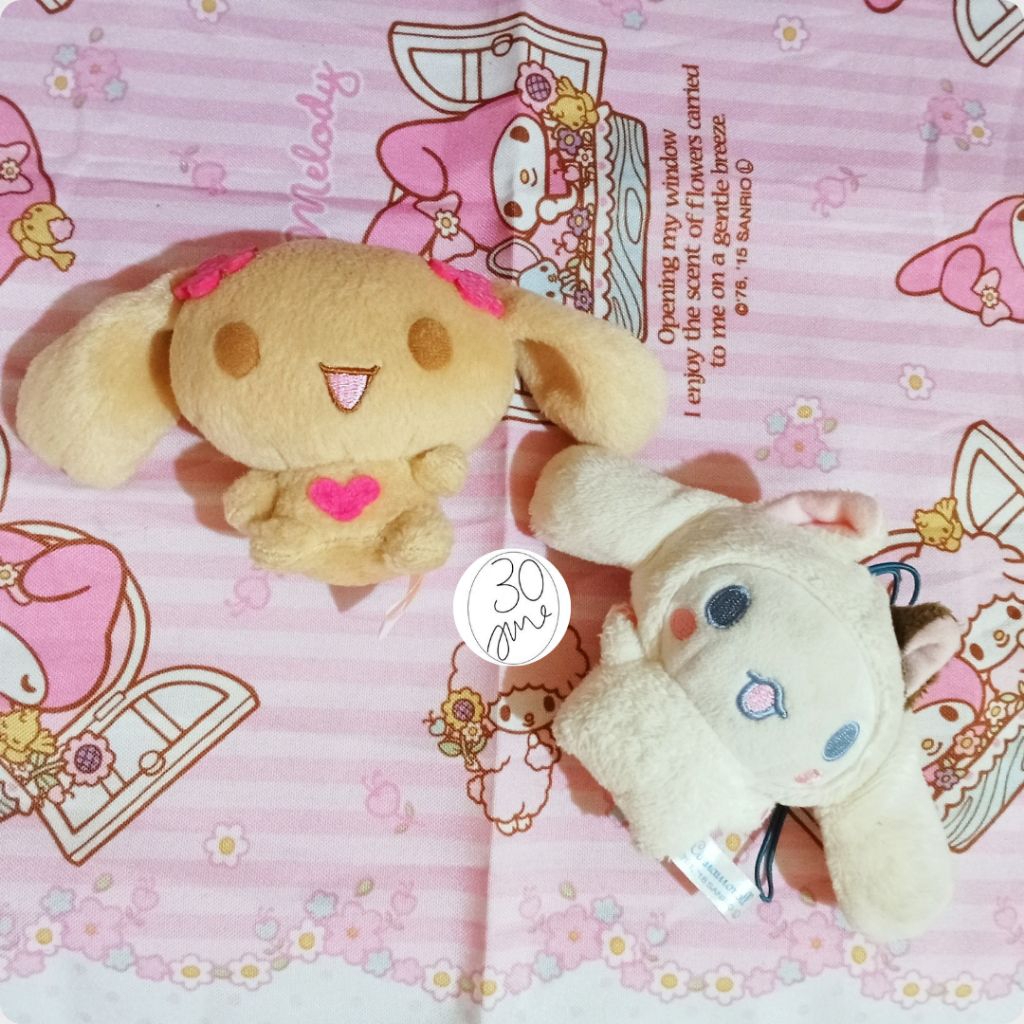 Mocha & Cinnamoroll kucing