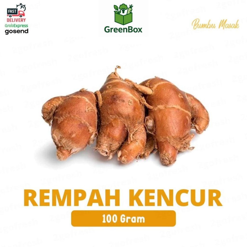

Bumbu Kencur Segar - Rempah untuk Sayuran