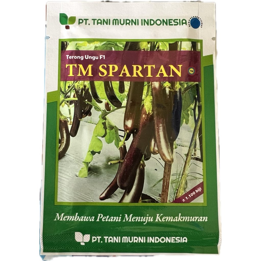 Bibit terong TM Spartan F1