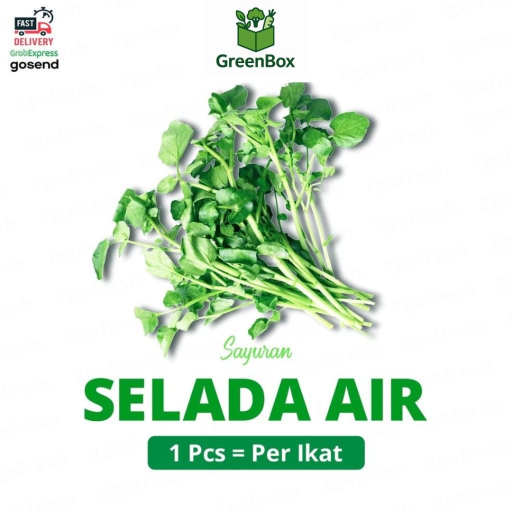 

Sayur Selada Air / Watercress Fresh - Sayuran