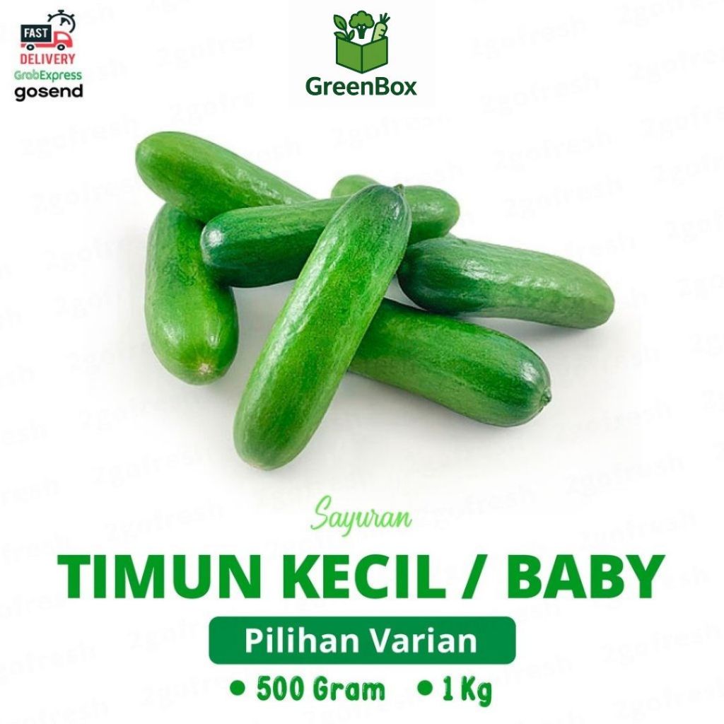 

Timun Kecil/ Mentimun Baby Fresh - Sayur Sayuran