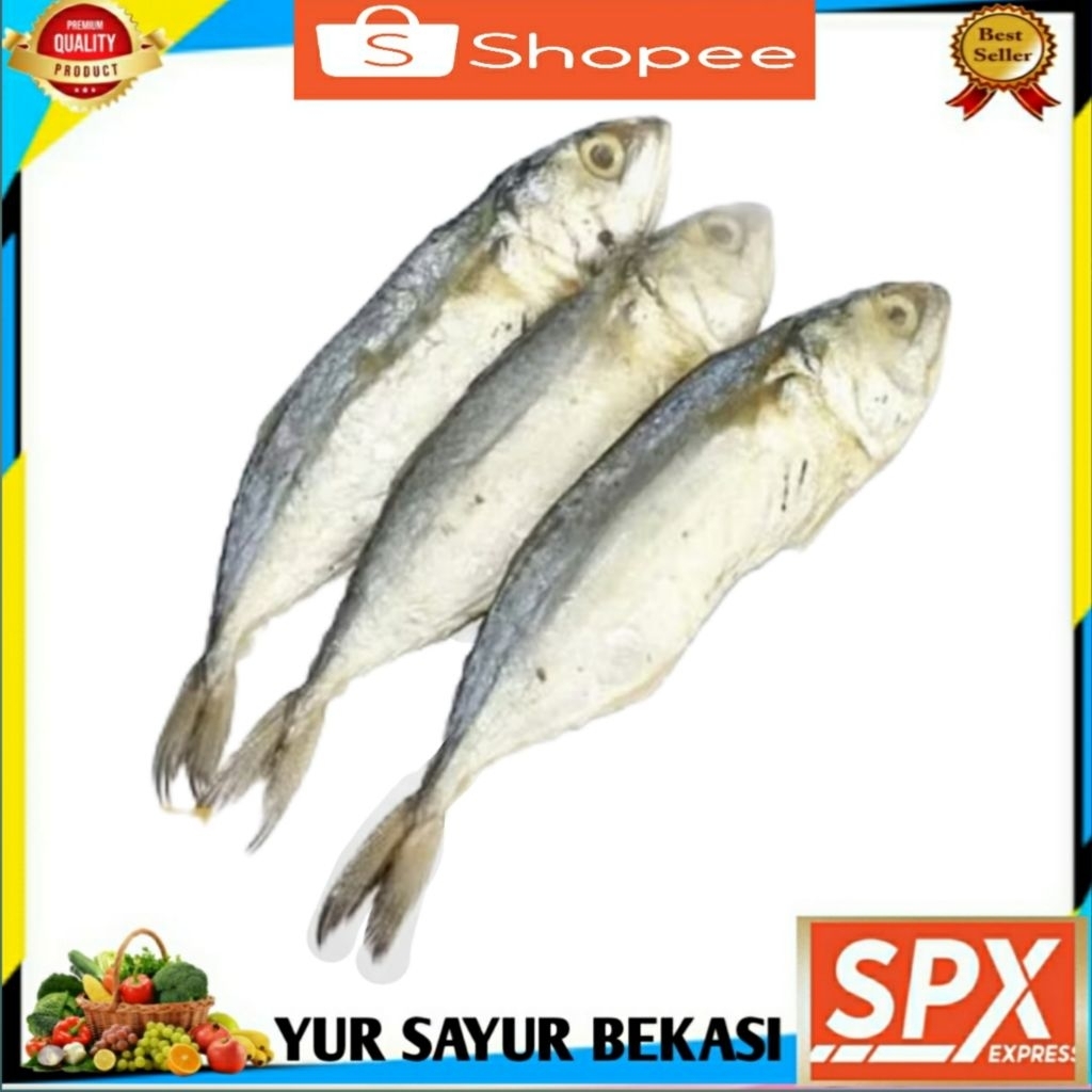 

Ikan Asin Tembang 250gr.