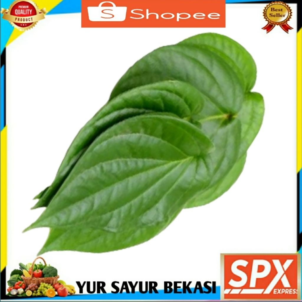 

Daun Sirih ( 1 ikat).
