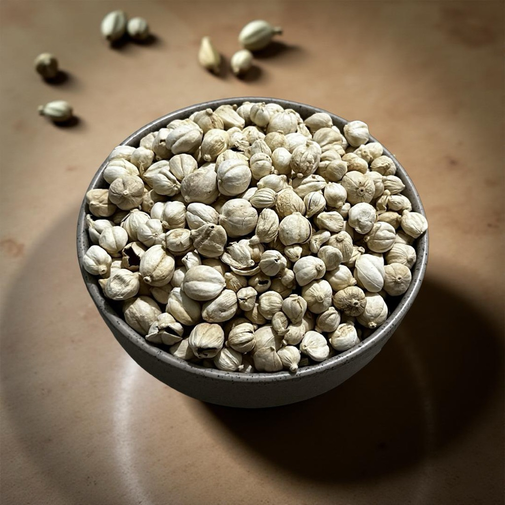 

Kapulaga Putih 1 Kg | Organik Premium | Aromatik & Segar