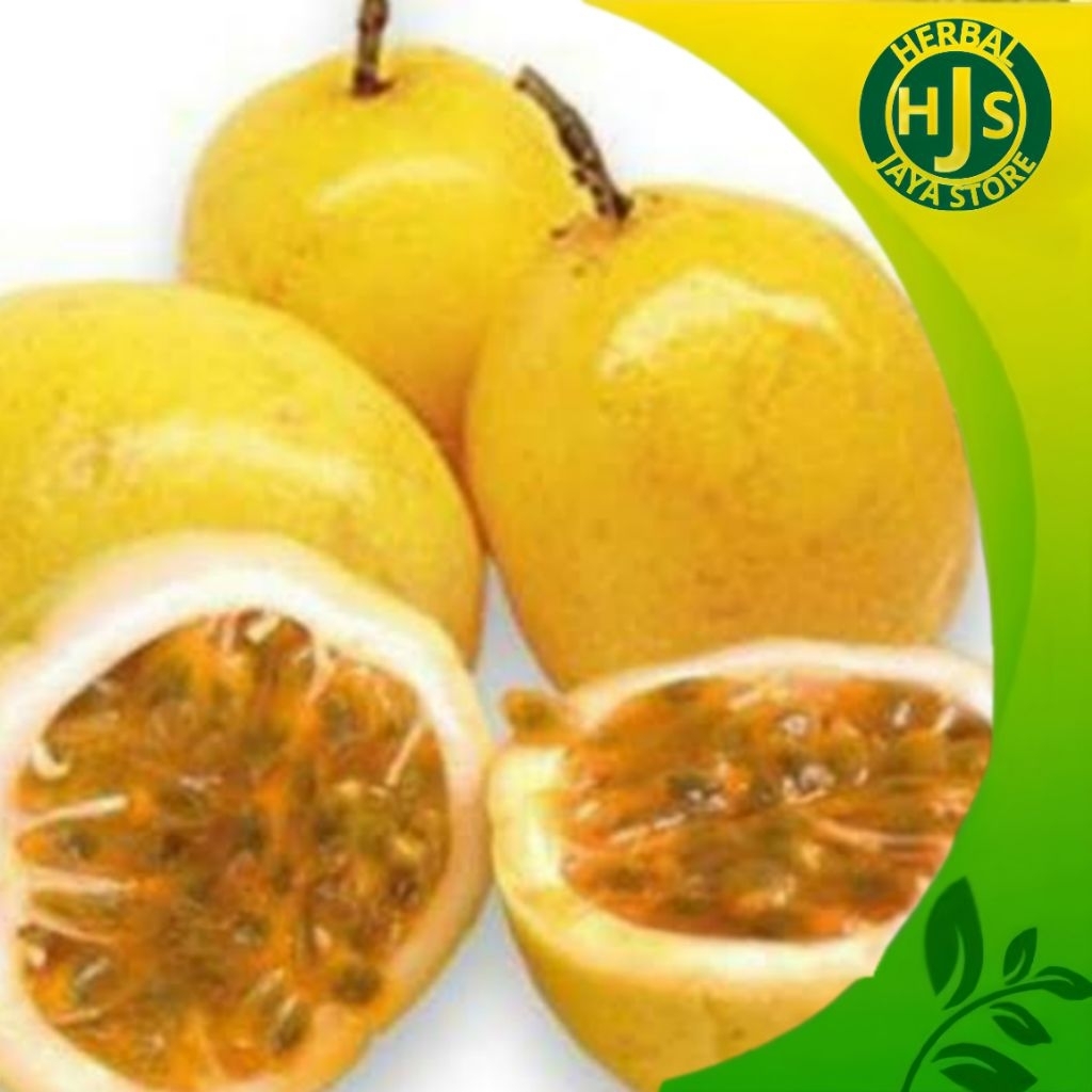 

Buah Markisa Segar 1kg - Buah Markisa Kuning Matang Segar