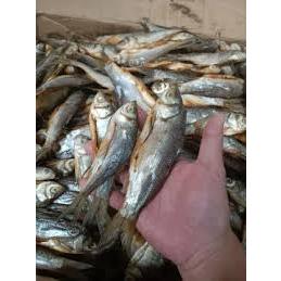 

ika asin nilem rawa asli super murah 1000 gram