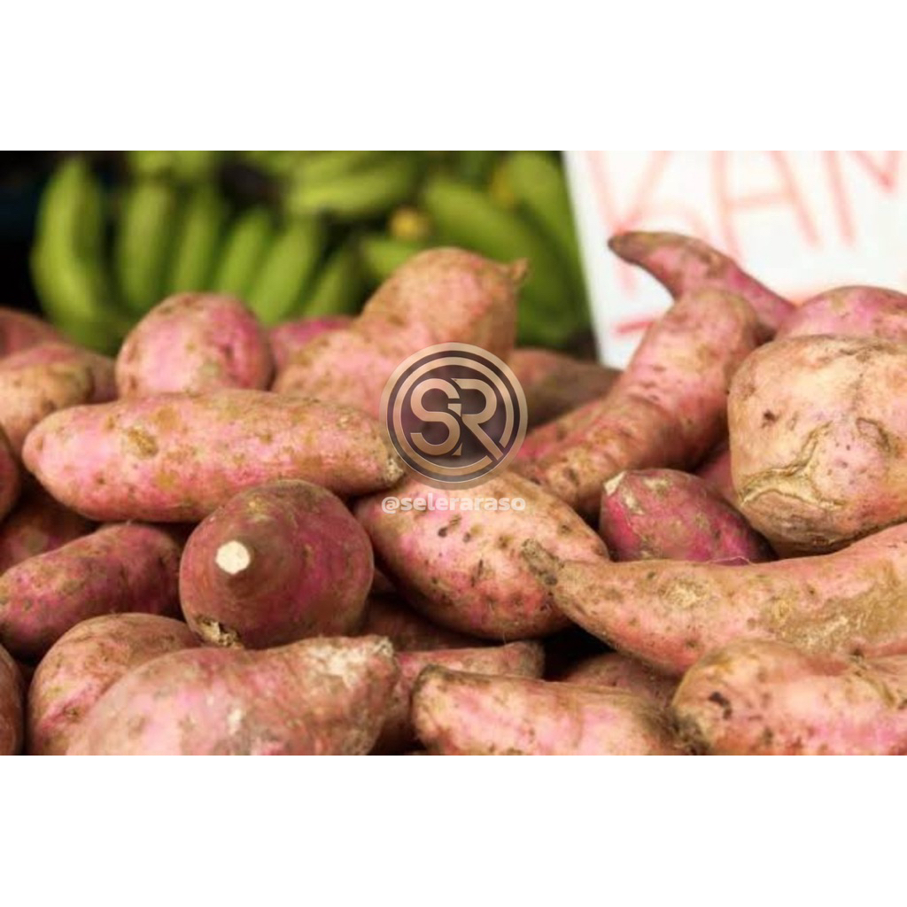 

Ubi Jalar Putih / Kuning