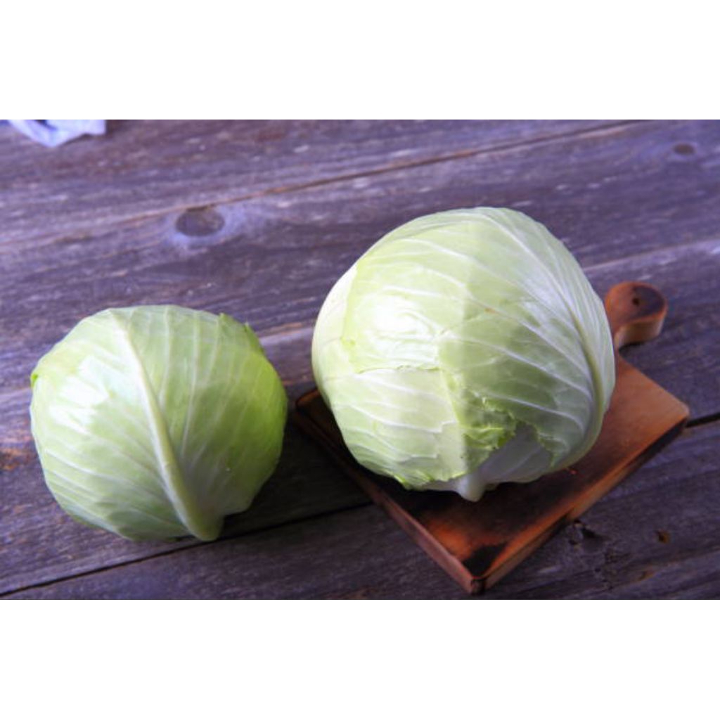 

Kobis Segar | 500gr / 1 kg langsung petik dari kebun