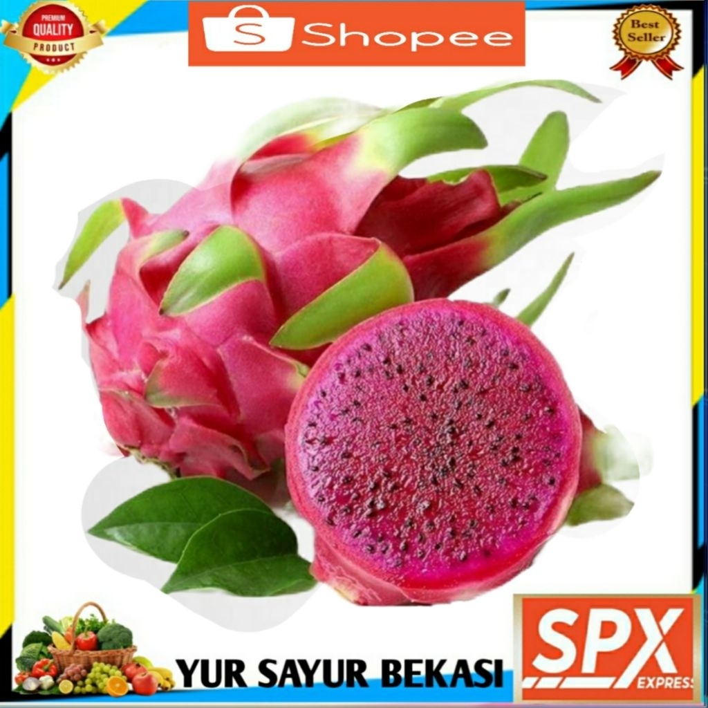 

Buah Naga Merah Per Buah