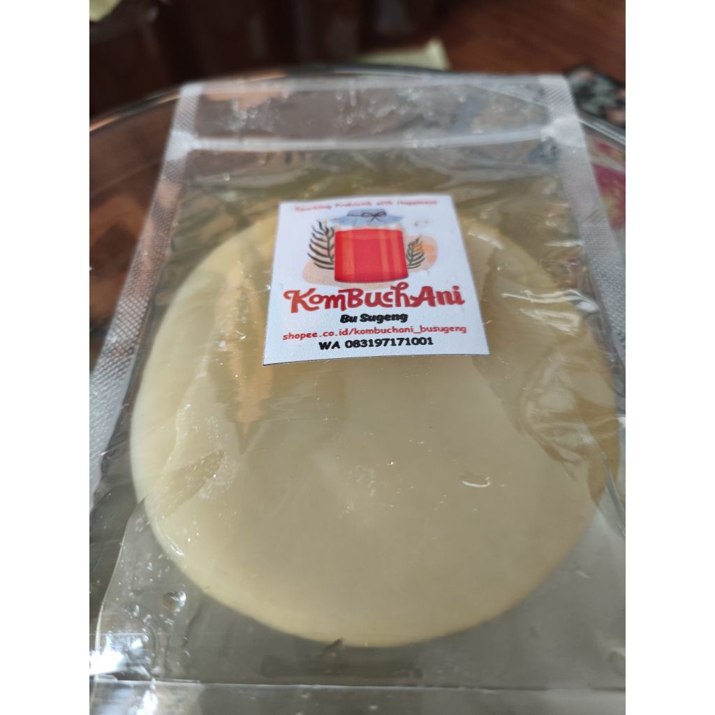 

Scoby grade B diameter 6-8cm termasuk cairan starter 100ml