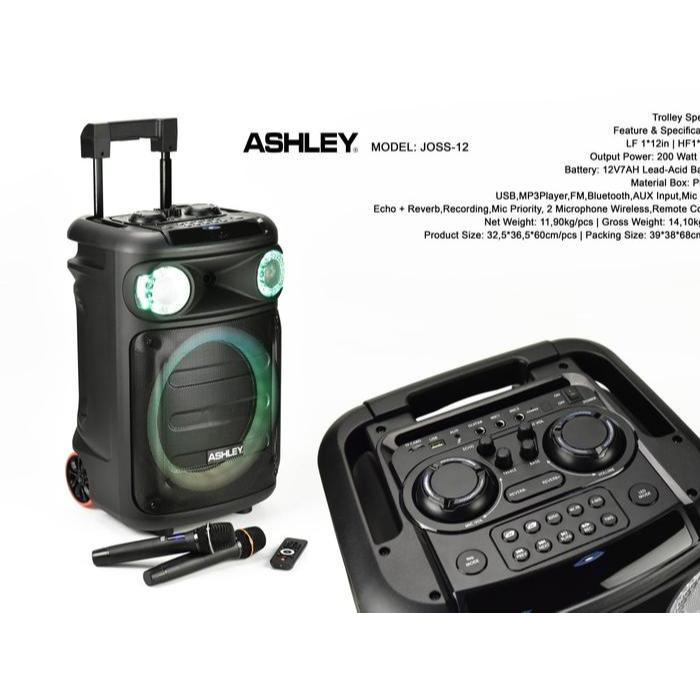 ASHLEY JOSS 12 ASHLEY JOSS-12 ORIGINAL 12 INCH  SPEAKER PORTABLE SYSTEM